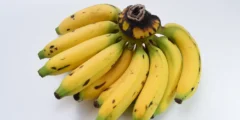 فوائد الموز وميزاته الصحية